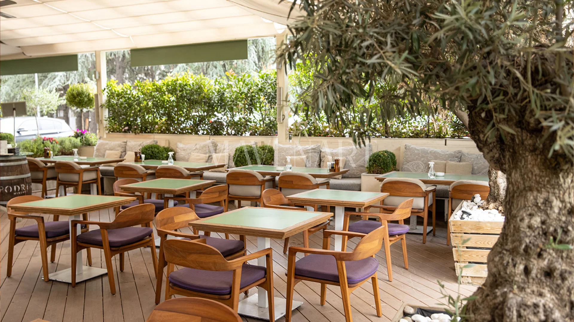 Vera Cafe Restoran Tasarımı